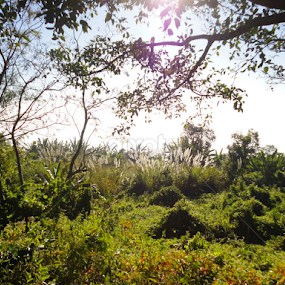 তখন কিন্তু শরৎ না... by Shaily Tasnim - Landscapes Mountains & Hills