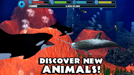Orca Simulator(圖5)-速報App