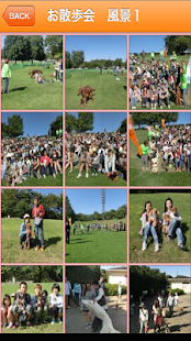 ペッツタウン　与野店 - náhled