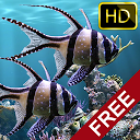 The real aquarium - HD