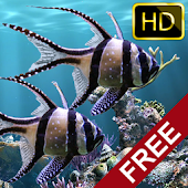 The real aquarium - HD