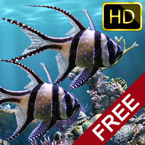 Download The real aquarium For PC Windows and Mac