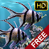 The real aquarium HD - Live Wallpaper2.26