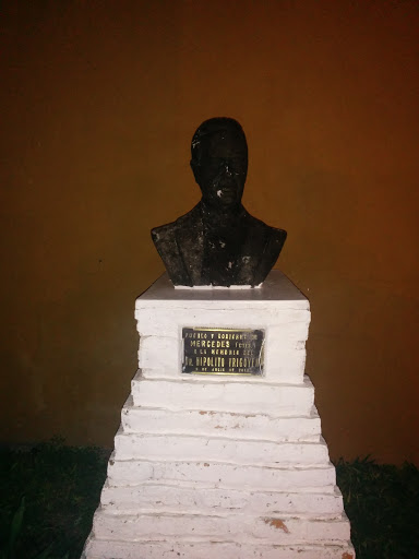 Busto Hipolito Irigoyen 