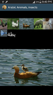 Arabic Picture animals(圖3)-速報App