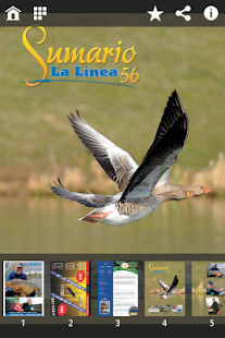 How to install La Línea 1.01 apk for laptop