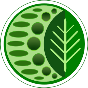 Herb & Spice Helper logo