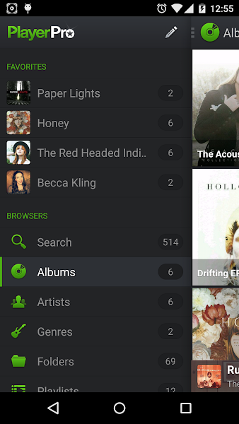 PlayerPro Music Player - screenshot