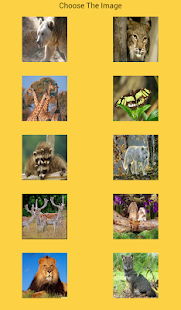 Animals puzzles for kids