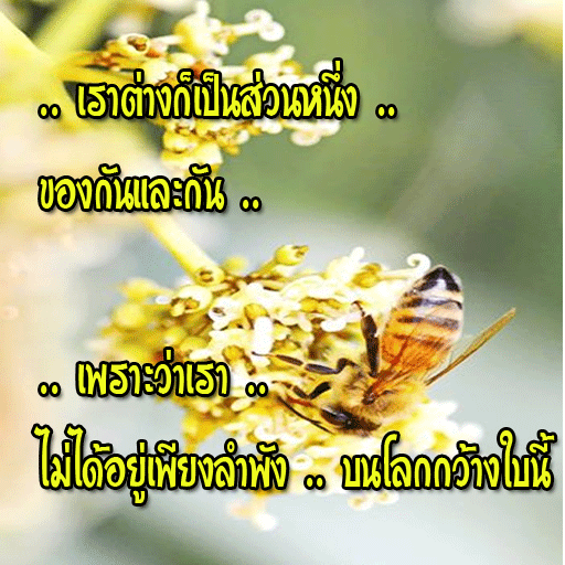 คำคมกำลังใจ คำคมโดนๆ คำคมโดนใจ