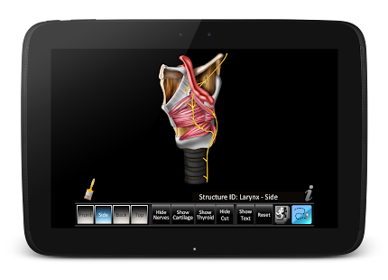 Larynx ID Screenshots 2