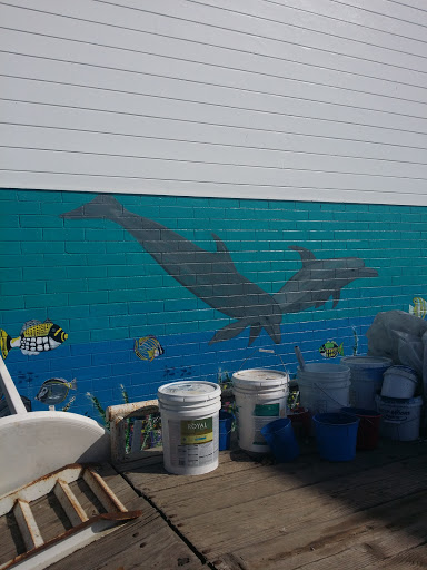 Dolphin Mural Hotel Wall