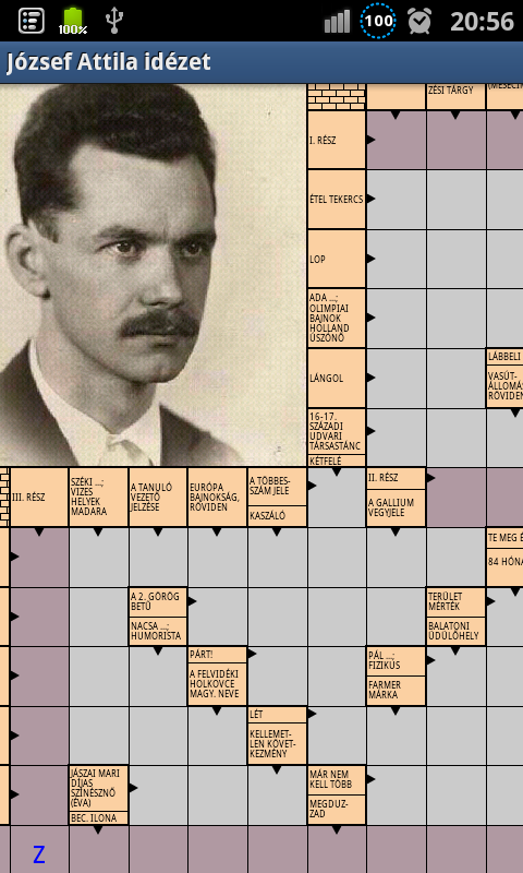 Real crossword (free) Screen 3