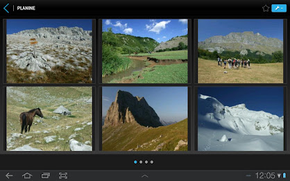 TViN Blicnet poster 14