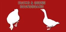 Z Ducks & Geese Sound APK