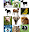 Animals Sounds Download on Windows
