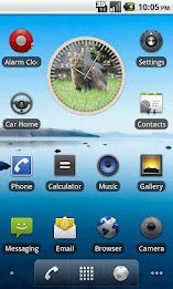 Cat 5 Tabby Grass Analog Clock poster 1