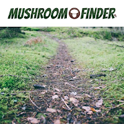 Mushroom Finder  Icon