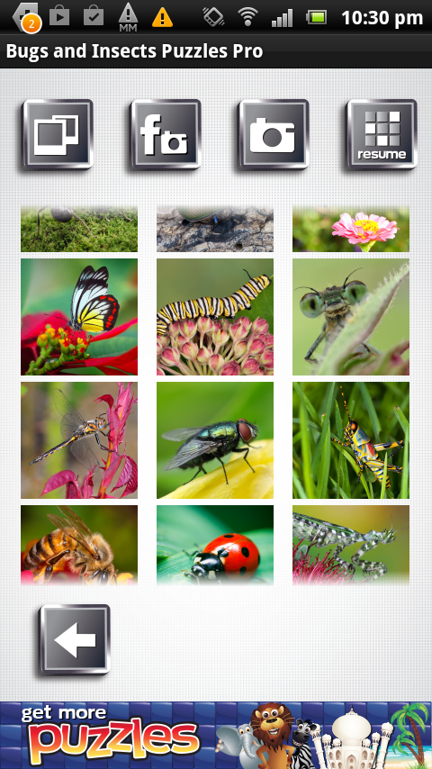 Bugs &amp; Insects Puzzles Pro Screen 3