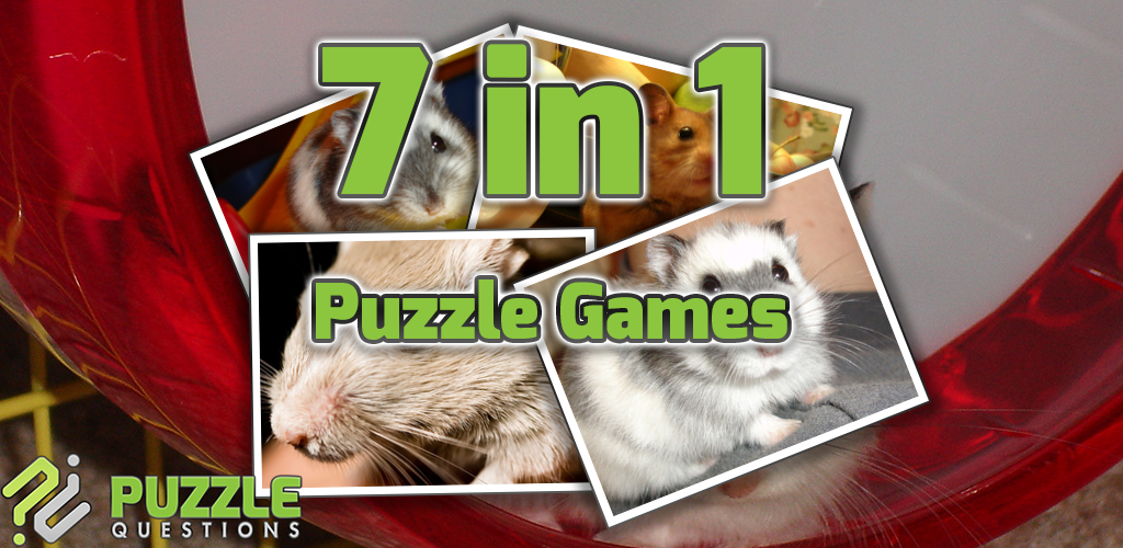 Hamster puzzle. Побег хомяка 2 игра. Что лучше качать hamster. Прохождение головоломки хамстер. Прохождение головоломки хамстер.