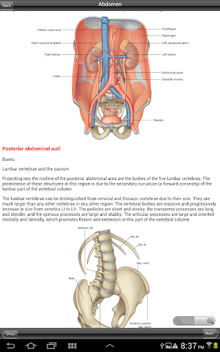 【免費醫療App】Gray's Pelvis Perineum Abdomen-APP點子