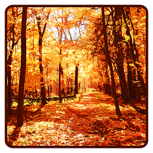 Autumn Wallpaper logo