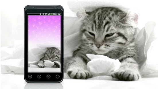 How to install Purring Tiger kitten LWP Purr apk for bluestacks