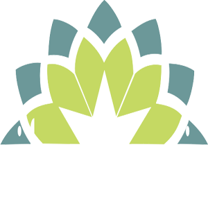Ilmu Sharaf.apk 1.0
