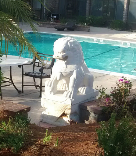 Guardian Lion at Hills Hotel
