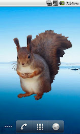 Squirrel Sitting Sticker poster 4