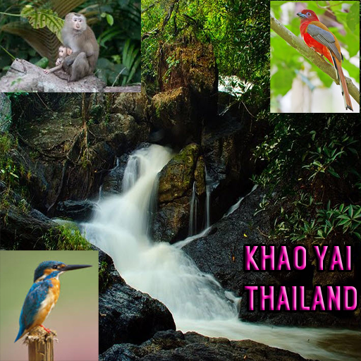 Khao Yai Thailand 旅遊 App LOGO-APP開箱王