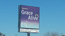 Grace Alive Church