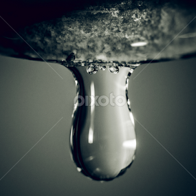still hanging by Dinal Jay - Nature Up Close Natural Waterdrops