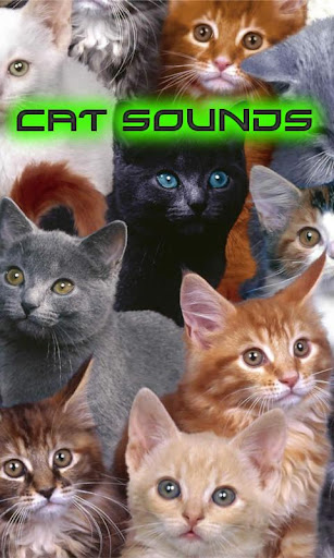 【免費娛樂App】Cat Sounds-APP點子