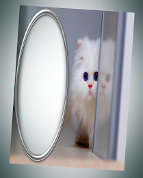 photo frames cat pic frames poster 3