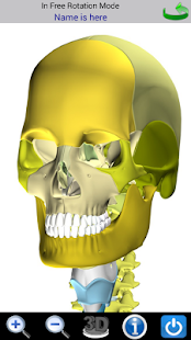 Visual Bones(圖5)-速報App