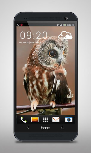 Mysterious Owl Live Wallpaper