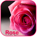 Lovely Rose LiveWallpaper
