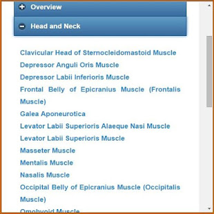 Muscular System(Anatomy)(圖2)-速報App