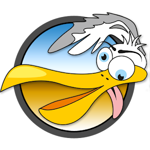 Seagull Bird Revenge 1.1.9 Icon