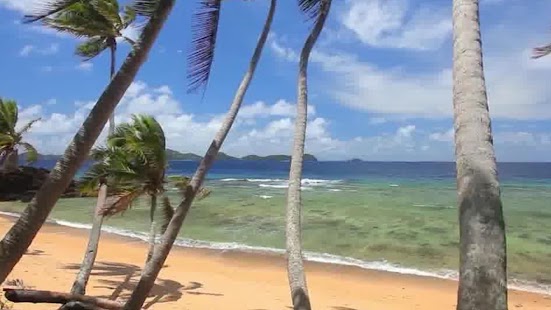 How to download Beach Palms Live WallPaper 1.0.7 mod apk for android
