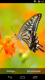 Butterflies Live Wallpaper Screenshots 6