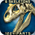 Body Disassembly 3D logo