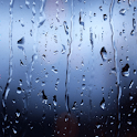 Rains Window Live Wallpaper
