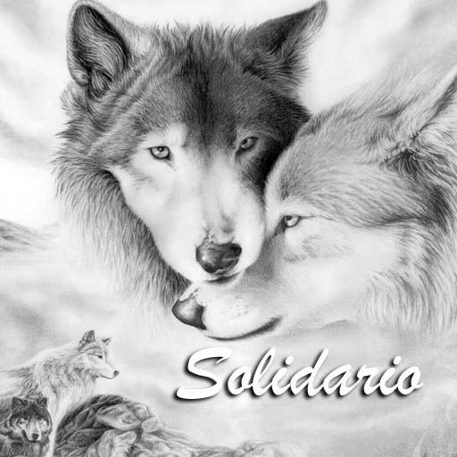 RADIO LOBO SOLIDARIO