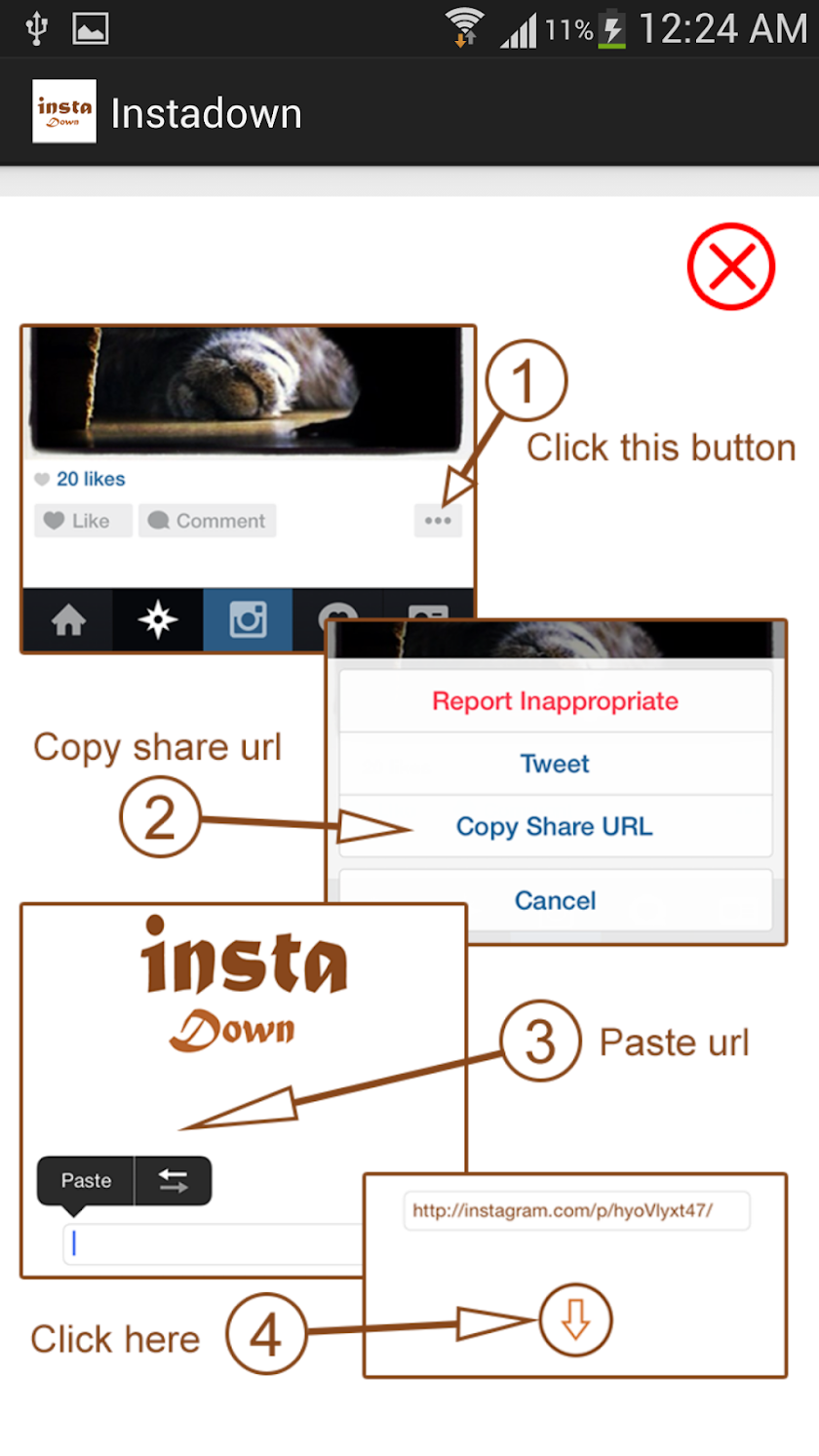 instadown Screen 2