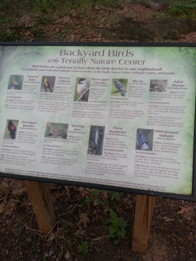 Backyard Birds Tenafly Nature Center 