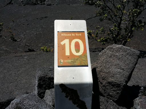 Kilauea Iki Trail Point 10