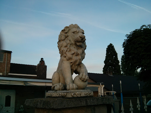 Le Lion De Plâtre