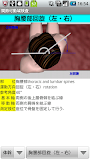 関節可動域測定法(ROM-T)角度計付